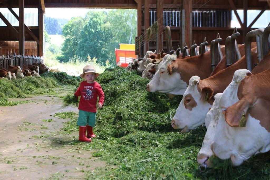 Huisnhof アルラッハ 部屋 写真